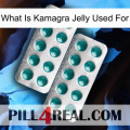 What Is Kamagra Jelly Used For dapoxetine2